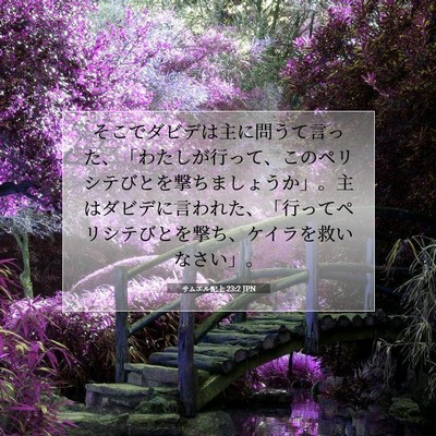 Picture 07 - サムエル記上 23:2 JPN - そこでダビデは主に問うて言った、 - Bible Verse Picture