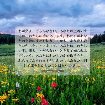 Picture 07 - サムエル記上 24:11 JPN - わが父よ、ごらんなさい。あなたの - Bible Verse Picture