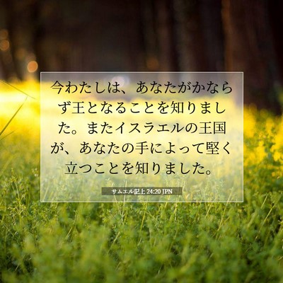 Picture 07 - サムエル記上 24:20 JPN - 今わたしは、あなたがかならず王と - Bible Verse Picture