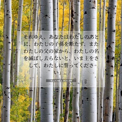 Picture 07 - サムエル記上 24:21 JPN - それゆえ、あなたはわたしのあとに - Bible Verse Picture