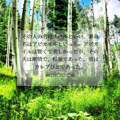 Picture 07 - サムエル記上 25:3 JPN - その人の名はナバルといい、妻の名 - Bible Verse Picture