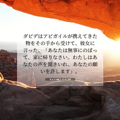 Picture 07 - サムエル記上 25:35 JPN - ダビデはアビガイルが携えてきた物 - Bible Verse Picture