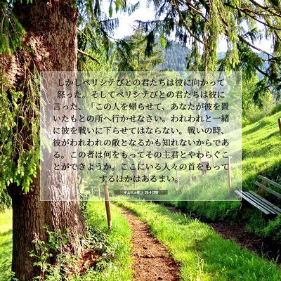 Picture 07 - サムエル記上 29:4 JPN - しかしペリシテびとの君たちは彼に - Bible Verse Picture