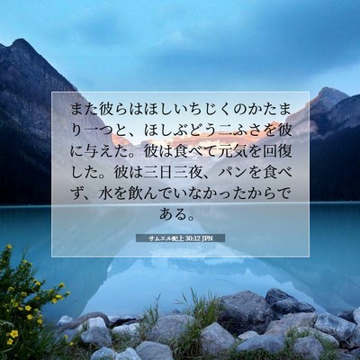 Picture 07 - サムエル記上 30:12 JPN - また彼らはほしいちじくのかたまり - Bible Verse Picture