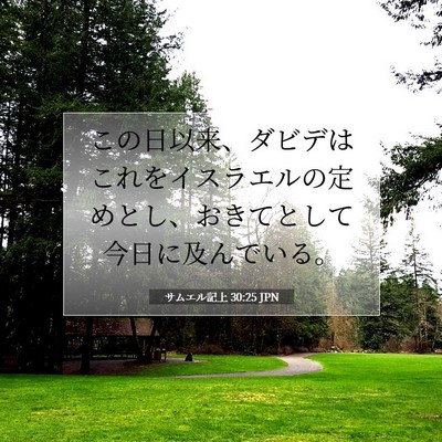 Picture 07 - サムエル記上 30:25 JPN - この日以来、ダビデはこれをイスラ - Bible Verse Picture