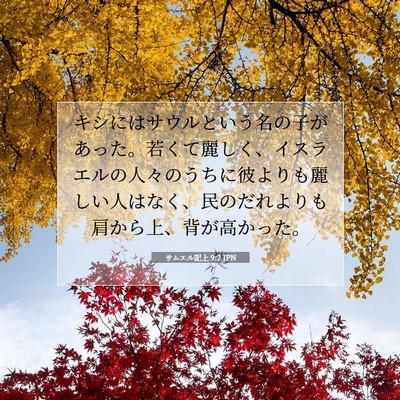 Picture 07 - サムエル記上 9:2 JPN - キシにはサウルという名の子があっ - Bible Verse Picture