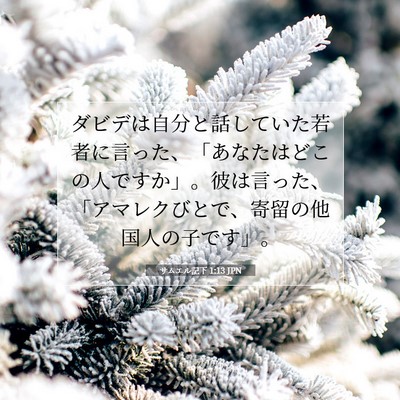 Picture 07 - サムエル記下 1:13 JPN - ダビデは自分と話していた若者に言 - Bible Verse Picture
