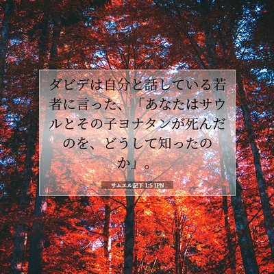 Picture 07 - サムエル記下 1:5 JPN - ダビデは自分と話している若者に言 - Bible Verse Picture