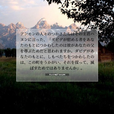 Picture 07 - サムエル記下 10:3 JPN - アンモンの人々のつかさたちはその - Bible Verse Picture