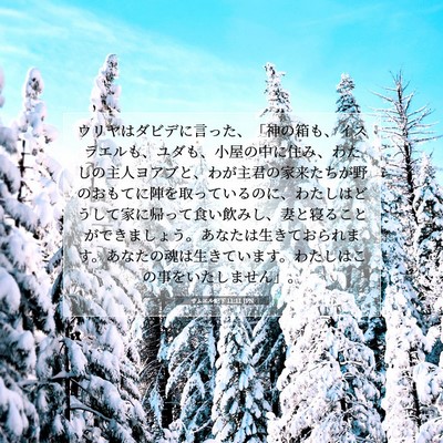 Picture 07 - サムエル記下 11:11 JPN - ウリヤはダビデに言った、「神の箱 - Bible Verse Picture