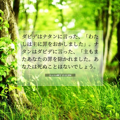 Picture 07 - サムエル記下 12:13 JPN - ダビデはナタンに言った、「わたし - Bible Verse Picture