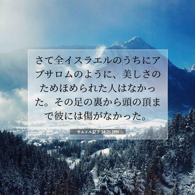 Picture 07 - サムエル記下 14:25 JPN - さて全イスラエルのうちにアブサロ - Bible Verse Picture
