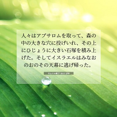 Picture 07 - サムエル記下 18:17 JPN - 人々はアブサロムを取って、森の中 - Bible Verse Picture