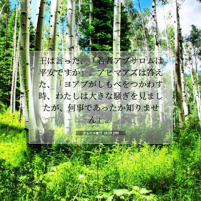 Picture 07 - サムエル記下 18:29 JPN - 王は言った、「若者アブサロムは平 - Bible Verse Picture