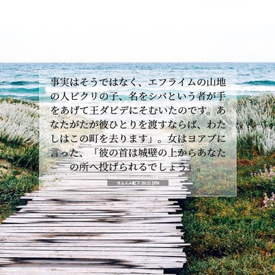 Picture 07 - サムエル記下 20:21 JPN - 事実はそうではなく、エフライムの - Bible Verse Picture