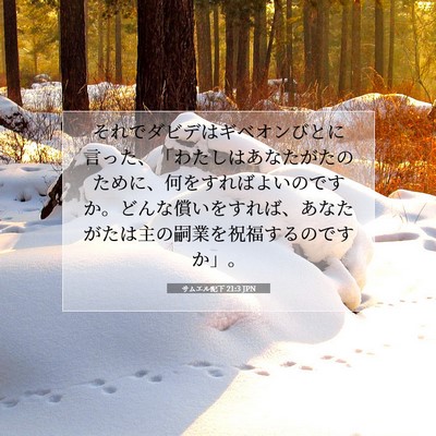 Picture 07 - サムエル記下 21:3 JPN - それでダビデはギベオンびとに言っ - Bible Verse Picture