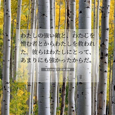 Picture 07 - サムエル記下 22:18 JPN - わたしの強い敵と、わたしを憎む者 - Bible Verse Picture
