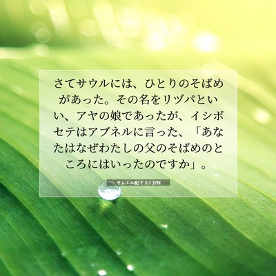 Picture 07 - サムエル記下 3:7 JPN - さてサウルには、ひとりのそばめが - Bible Verse Picture