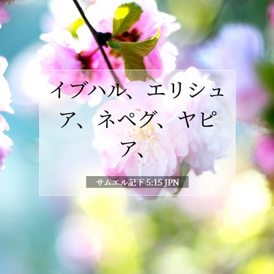 Picture 07 - サムエル記下 5:15 JPN - イブハル、エリシュア、ネペグ、ヤ - Bible Verse Picture
