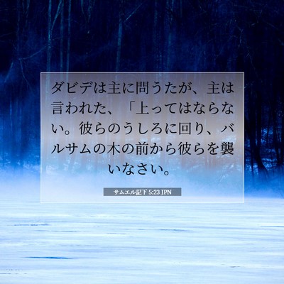 Picture 07 - サムエル記下 5:23 JPN - ダビデは主に問うたが、主は言われ - Bible Verse Picture