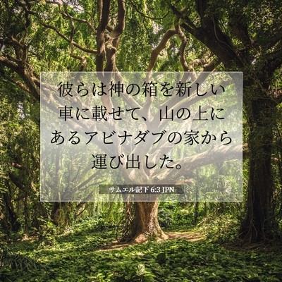 Picture 07 - サムエル記下 6:3 JPN - 彼らは神の箱を新しい車に載せて、 - Bible Verse Picture