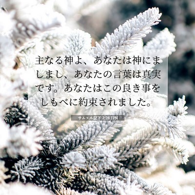 Picture 07 - サムエル記下 7:28 JPN - 主なる神よ、あなたは神にましまし - Bible Verse Picture