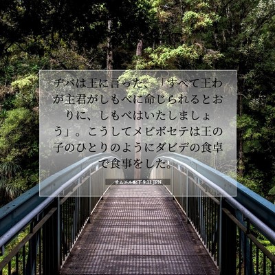 Picture 07 - サムエル記下 9:11 JPN - ヂバは王に言った、「すべて王わが - Bible Verse Picture