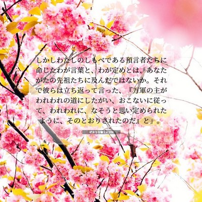 Picture 07 - ゼカリヤ書 1:6 JPN - しかしわたしのしもべである預言者 - Bible Verse Picture