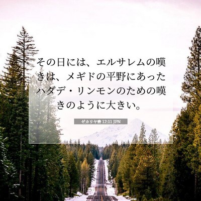 Picture 07 - ゼカリヤ書 12:11 JPN - その日には、エルサレムの嘆きは、 - Bible Verse Picture