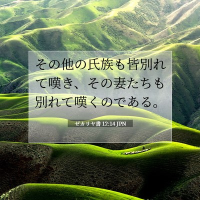 Picture 07 - ゼカリヤ書 12:14 JPN - その他の氏族も皆別れて嘆き、その - Bible Verse Picture