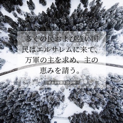 Picture 07 - ゼカリヤ書 8:22 JPN - 多くの民および強い国民はエルサレ - Bible Verse Picture