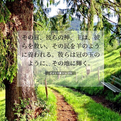 Picture 07 - ゼカリヤ書 9:16 JPN - その日、彼らの神、主は、彼らを救 - Bible Verse Picture