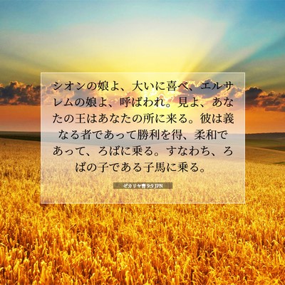 Picture 07 - ゼカリヤ書 9:9 JPN - シオンの娘よ、大いに喜べ、エルサ - Bible Verse Picture