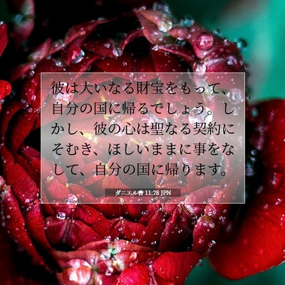 Picture 07 - ダニエル書 11:28 JPN - 彼は大いなる財宝をもって、自分の - Bible Verse Picture