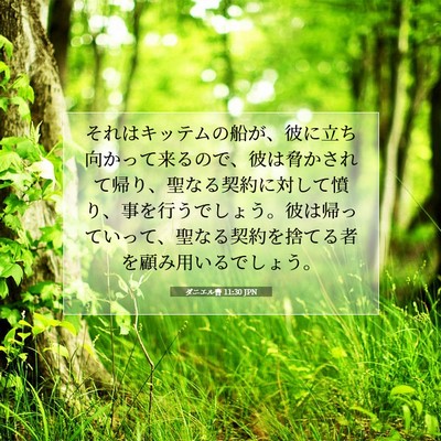 Picture 07 - ダニエル書 11:30 JPN - それはキッテムの船が、彼に立ち向 - Bible Verse Picture