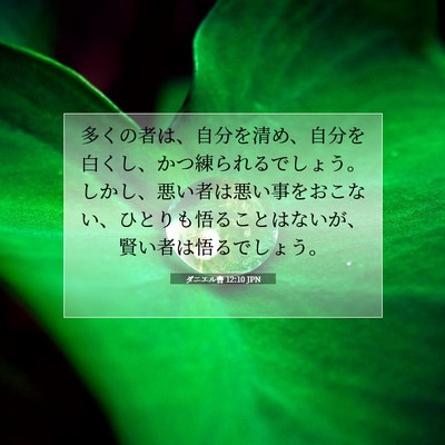 Picture 07 - ダニエル書 12:10 JPN - 多くの者は、自分を清め、自分を白 - Bible Verse Picture