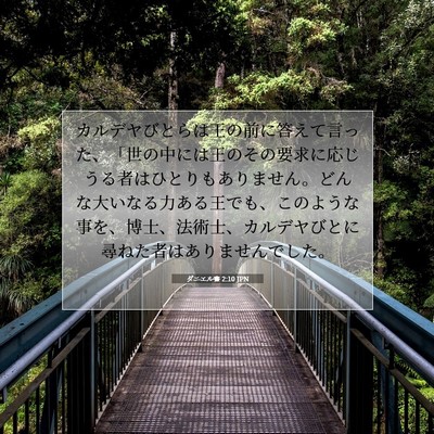 Picture 07 - ダニエル書 2:10 JPN - カルデヤびとらは王の前に答えて言 - Bible Verse Picture