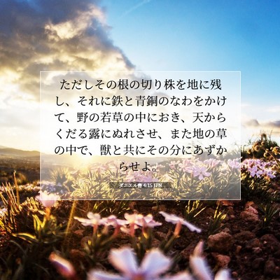 Picture 07 - ダニエル書 4:15 JPN - ただしその根の切り株を地に残し、 - Bible Verse Picture