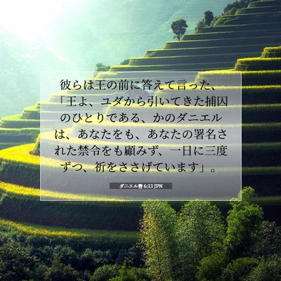Picture 07 - ダニエル書 6:13 JPN - 彼らは王の前に答えて言った、「王 - Bible Verse Picture