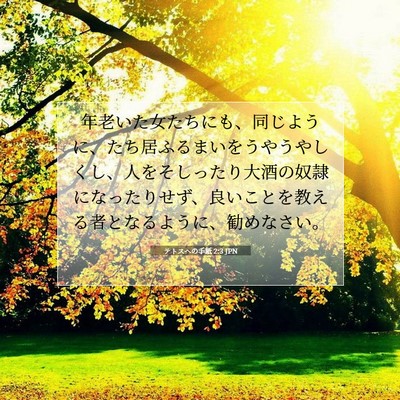 Picture 07 - テトスヘの手紙 2:3 JPN - 年老いた女たちにも、同じように、 - Bible Verse Picture