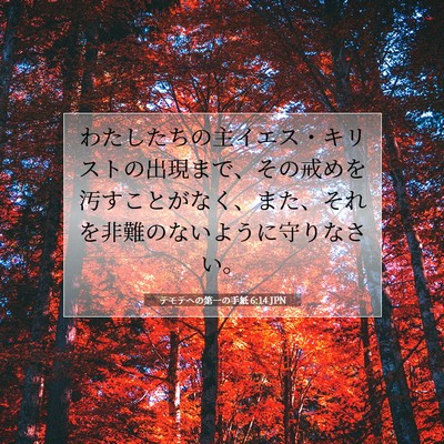 Picture 07 - テモテヘの第一の手紙 6:14 JPN - わたしたちの主イエス・キリストの - Bible Verse Picture