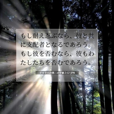 Picture 07 - テモテヘの第二の手紙 2:12 JPN - もし耐え忍ぶなら、彼と共に支配者 - Bible Verse Picture