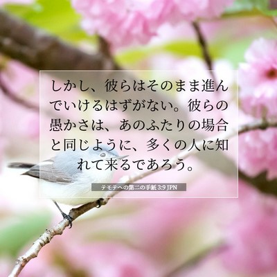 Picture 07 - テモテヘの第二の手紙 3:9 JPN - しかし、彼らはそのまま進んでいけ - Bible Verse Picture