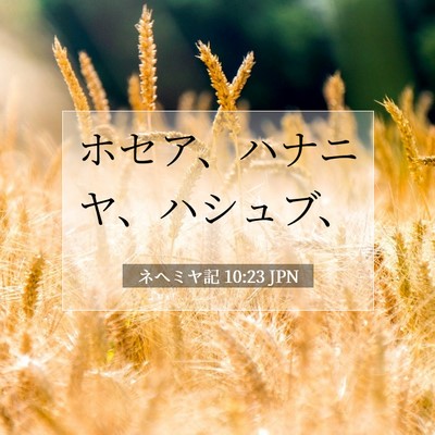 Picture 07 - ネヘミヤ記 10:23 JPN - ホセア、ハナニヤ、ハシュブ、 - Bible Verse Picture