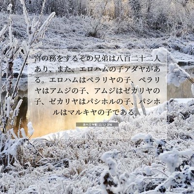 Picture 07 - ネヘミヤ記 11:12 JPN - 宮の務をするその兄弟は八百二十二 - Bible Verse Picture