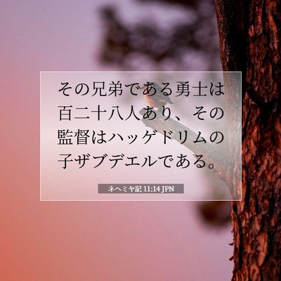 Picture 07 - ネヘミヤ記 11:14 JPN - その兄弟である勇士は百二十八人あ - Bible Verse Picture