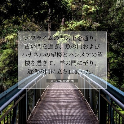 Picture 07 - ネヘミヤ記 12:39 JPN - エフライムの門の上を通り、古い門 - Bible Verse Picture