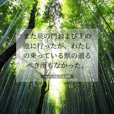 Picture 07 - ネヘミヤ記 2:14 JPN - また泉の門および王の池に行ったが - Bible Verse Picture