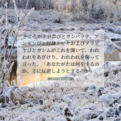 Picture 07 - ネヘミヤ記 2:19 JPN - ところがホロニびとサンバラテ、ア - Bible Verse Picture
