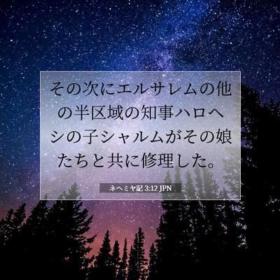 Picture 07 - ネヘミヤ記 3:12 JPN - その次にエルサレムの他の半区域の - Bible Verse Picture